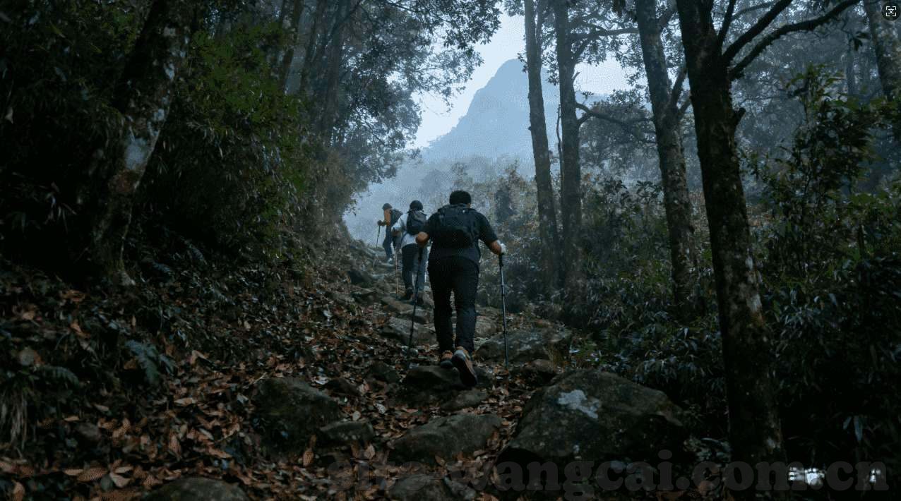 世界杯竞猜网上买-世界杯竞猜，网上购彩的乐趣与注意事项